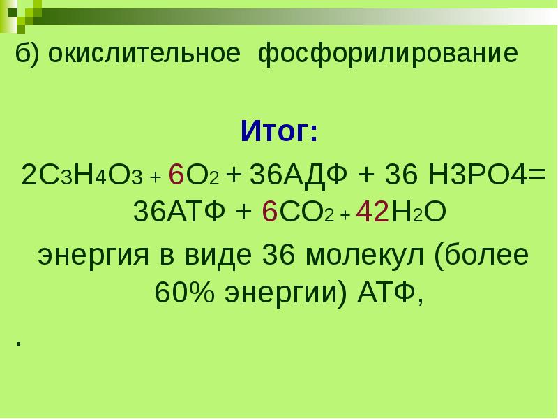 Окислительное фосфорилирование презентация