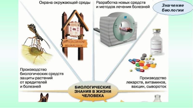 Схема значение биологии в жизни человека