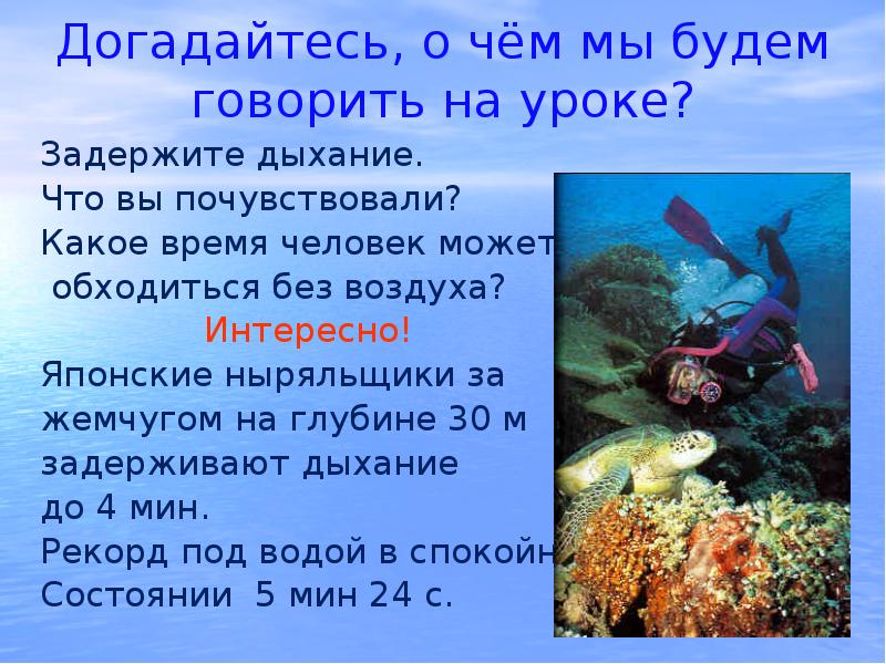 Без воздуха. Сколько человек может под водой без воздуха. Сколько человек может прожить без воздуха. Сколько человек может быть в воде без воздуха. Какие существа могут обходиться без воздуха.