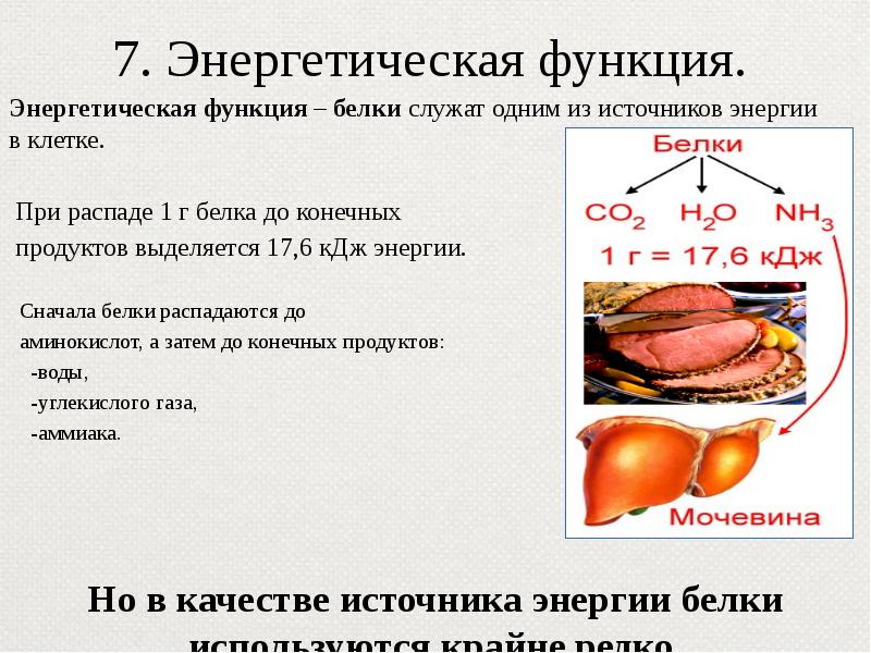 Энергетическую функцию выполняют белки