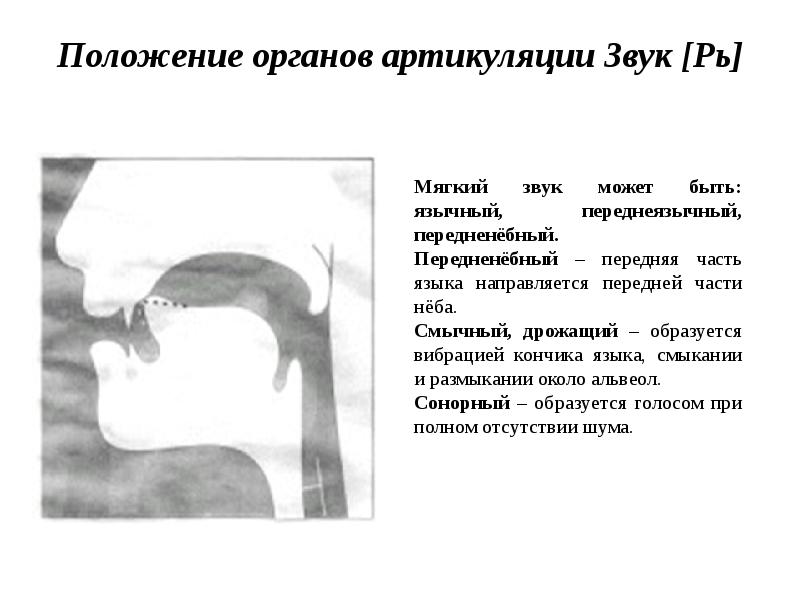 Характеристика звука р в картинках для детей