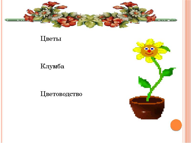 Проект цветоводство 4 класс окружающий мир