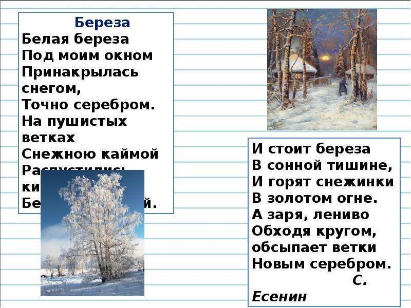 Белая береза под моим окном текст. Белая берёза под моим окном Принакрылась. Белая берёза под моим окном Принакрылась снегом точно серебром. Принакрылась снегом точно серебром. Стих белая берёза под моим окном Принакрылась снегом.