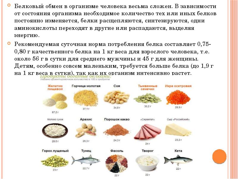 Какие вещества белками. Продукты белкового обмена. Высокобелковые продукты для ребенка 1,6. Белок 14,5 в организме.