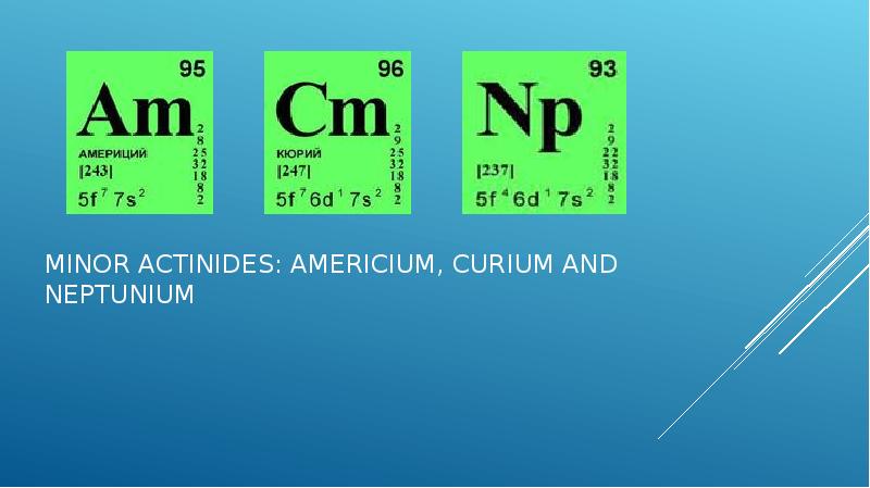 minor actinides: americium, curium and neptunium