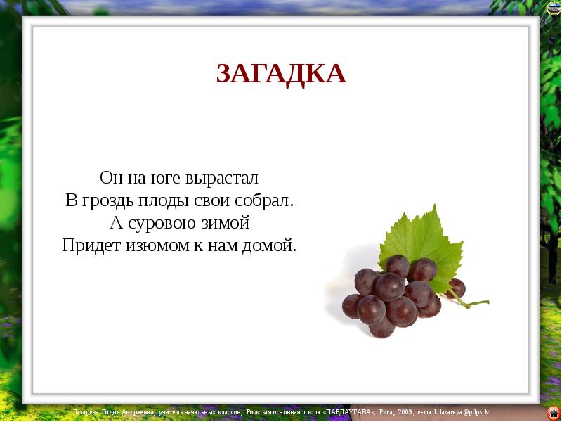 У каждого времени свой плод 1 класс презентация