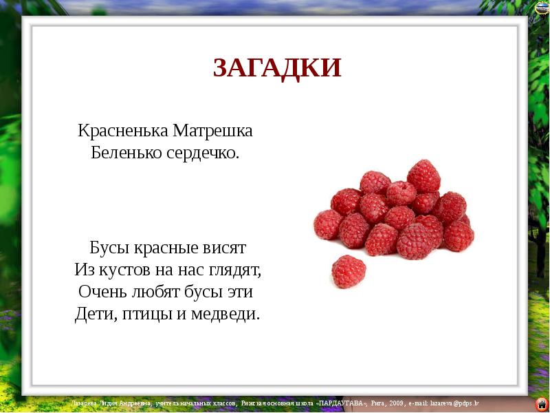 "красненькая матрешка беленькое сердечко" -что за ягода?