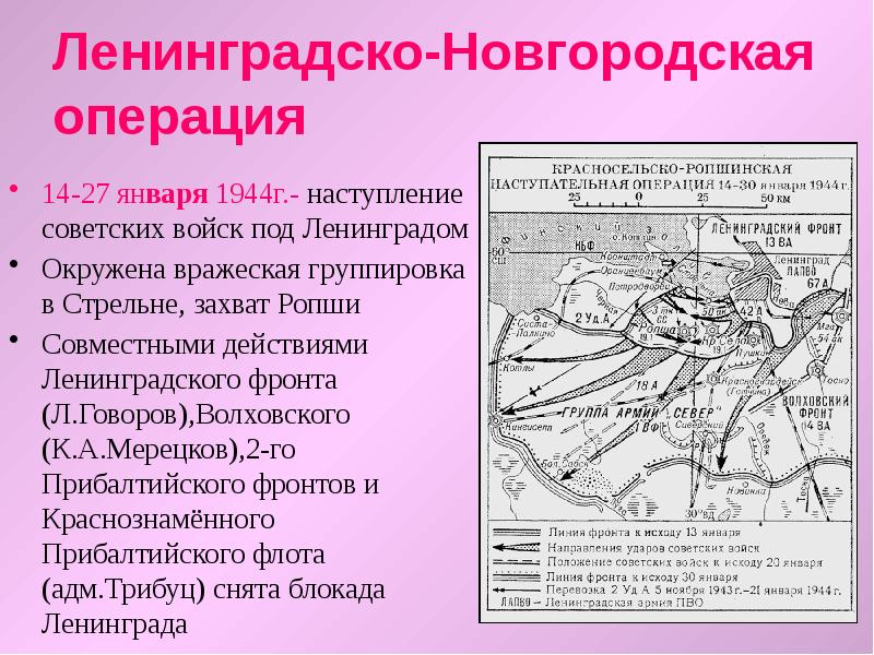 Ленинградско новгородской операции 1944 года. Ленинградско-Новгородская операция 1944. Ленинградско-Новгородская операция (январь-март 1944 г.). Ленинградско-Новгородская операция кратко. Ленинградско-Новгородская операция основные события.