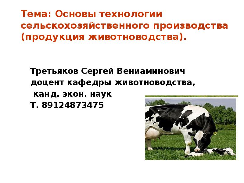 Содержание животных элемент технологии производства животноводческой продукции презентация 6 класс