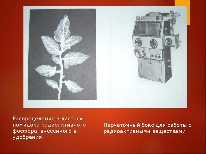 Получение радиоактивных изотопов и их применение презентация 11 класс