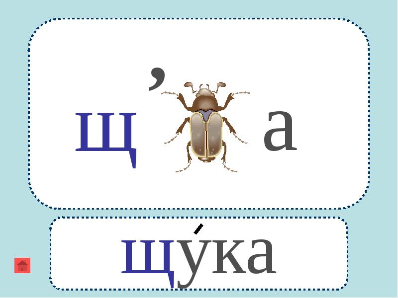 Ребусы про рыбу в картинках с ответами