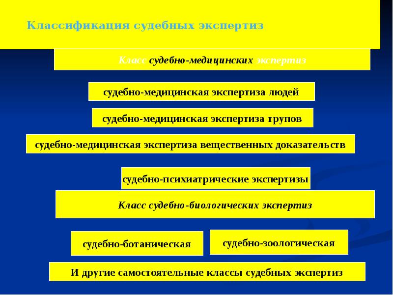 Экспертизы в криминалистике. Классификация судебных экспертиз. Классификация суд экспертиз. Классификация судебных экспертиз криминалистика. Классификация медицинских экспертиз.