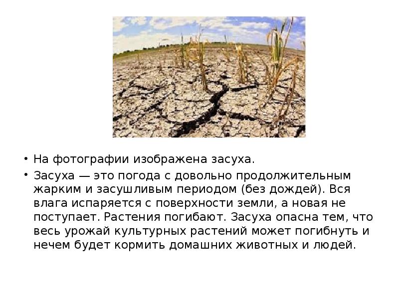 Засуха пришла. Сообщение о засухе. Засуха география 6 класс. Засуха сообщение кратко. Описание засухи.