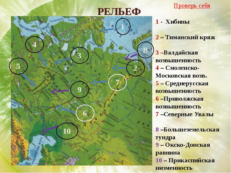 План описания природного района восточно европейская равнина