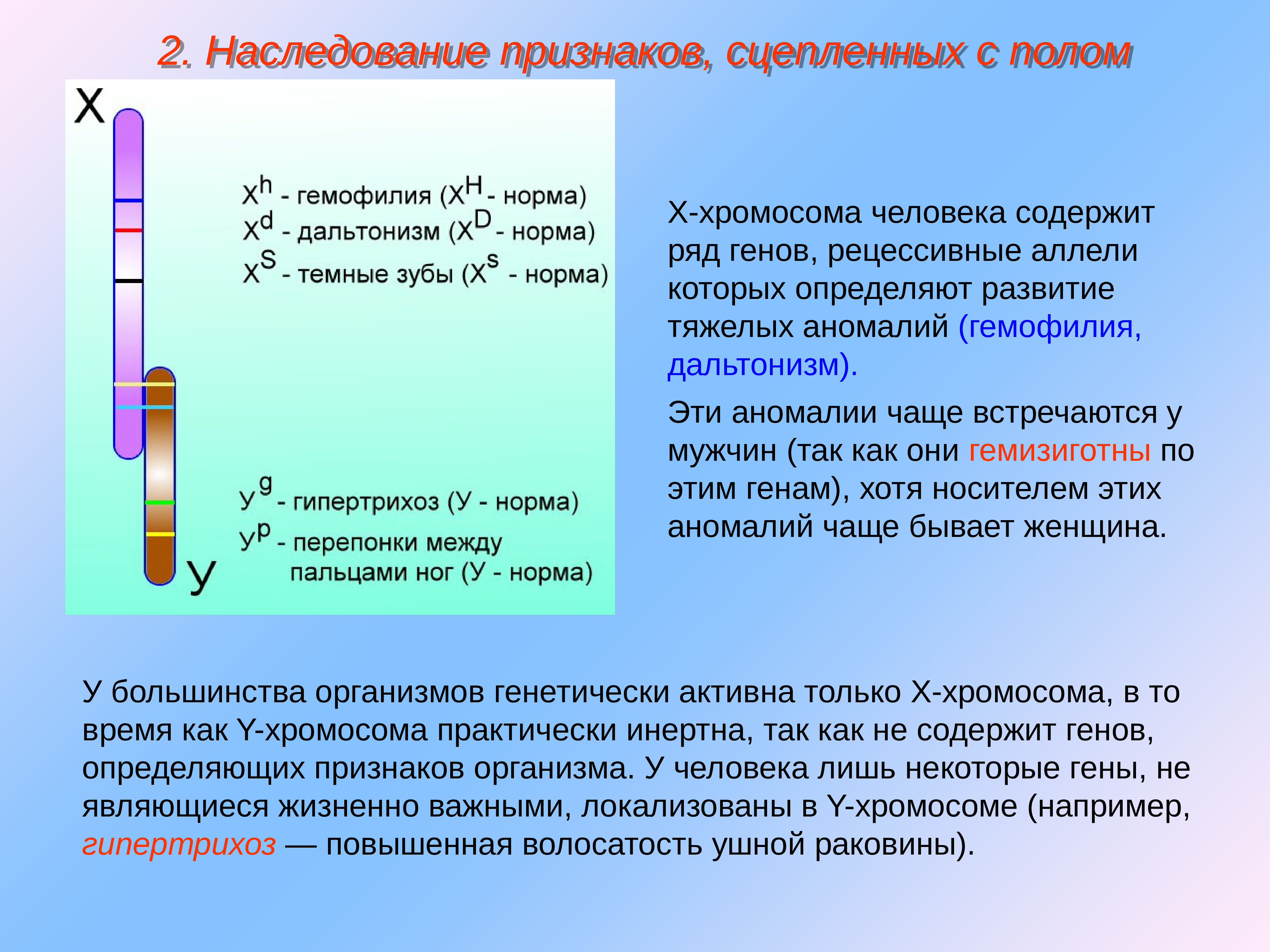 Люди которых содержат. Наследование признаков сцепленных с полом гемофилия дальтонизм. Какие гены расположены в х-хромосоме человека. Ген, локализованный в х-хромосоме матери, унаследуют. Признаки сцепленные с х хромосомой у человека.