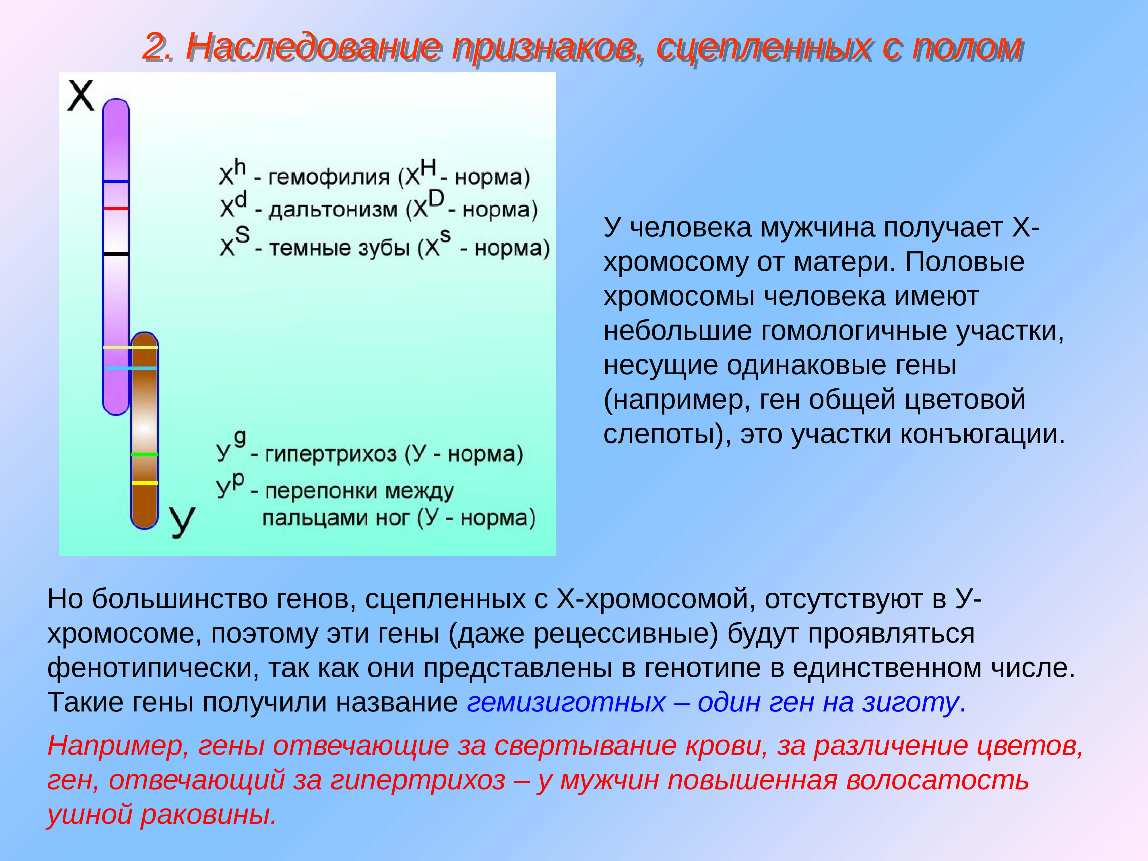 Генетика пола тест