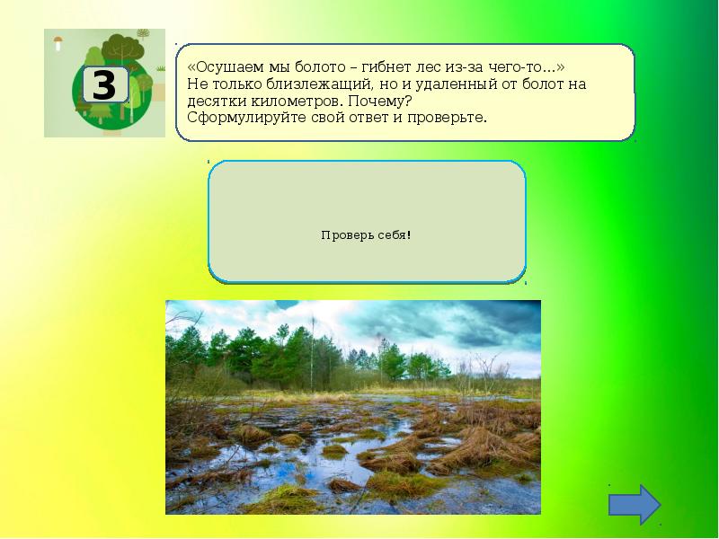 Сохранение леса аргумент. Федеральный проект сохранение лесов. Лес вода сохраним. Леса опущенные в воду. Презентация на воде и в лесу.