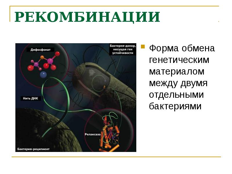 Генетика микроорганизмов презентация