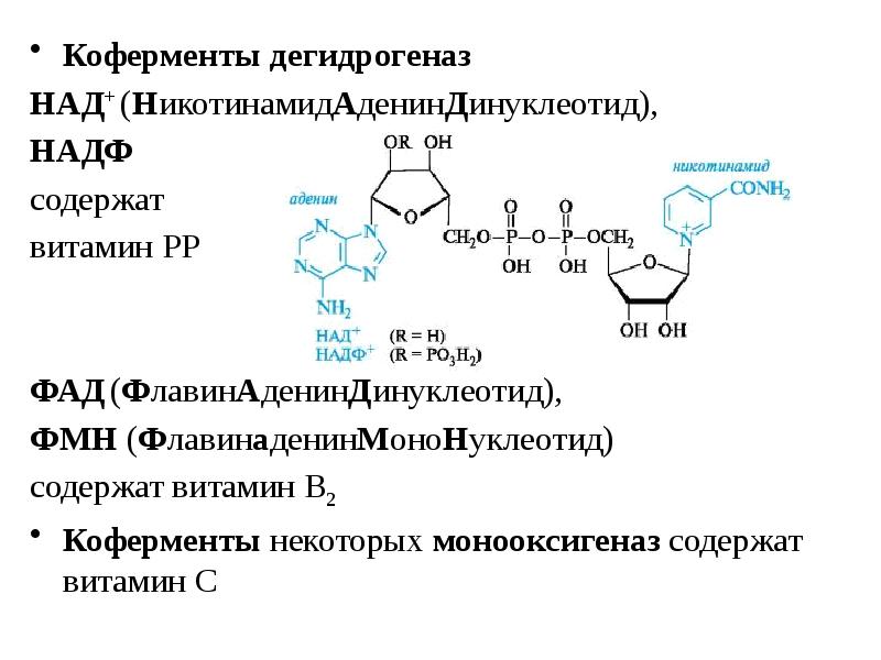 Над название. Структура коферментов над+ и НАДФ+. Структурные компоненты коферментов а над+ и НАДФ+. Кофермент над структура и функции. Механизм действия коферментов.