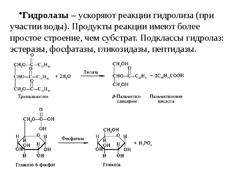 Трипальмитин гидролиз. Продукт гидролиза трипальмитина. Щелочной гидролиз трипальмитина. Кислотный гидролиз трипальмитина.