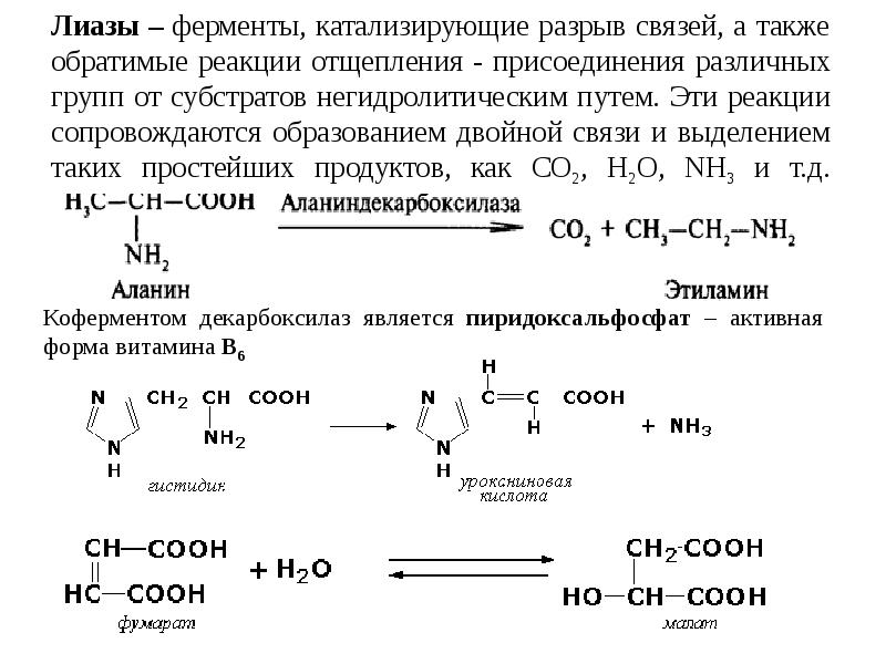 Реакции сопровождающиеся. Образование дигидротестостерона катализирует фермент ?.