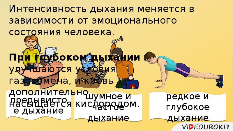 Глубокое редкое дыхание. Интенсивность дыхания. Интенсивность дыхания человека. Глубокое шумное редкое дыхание это дыхание. Редкое глубокое дыхание.