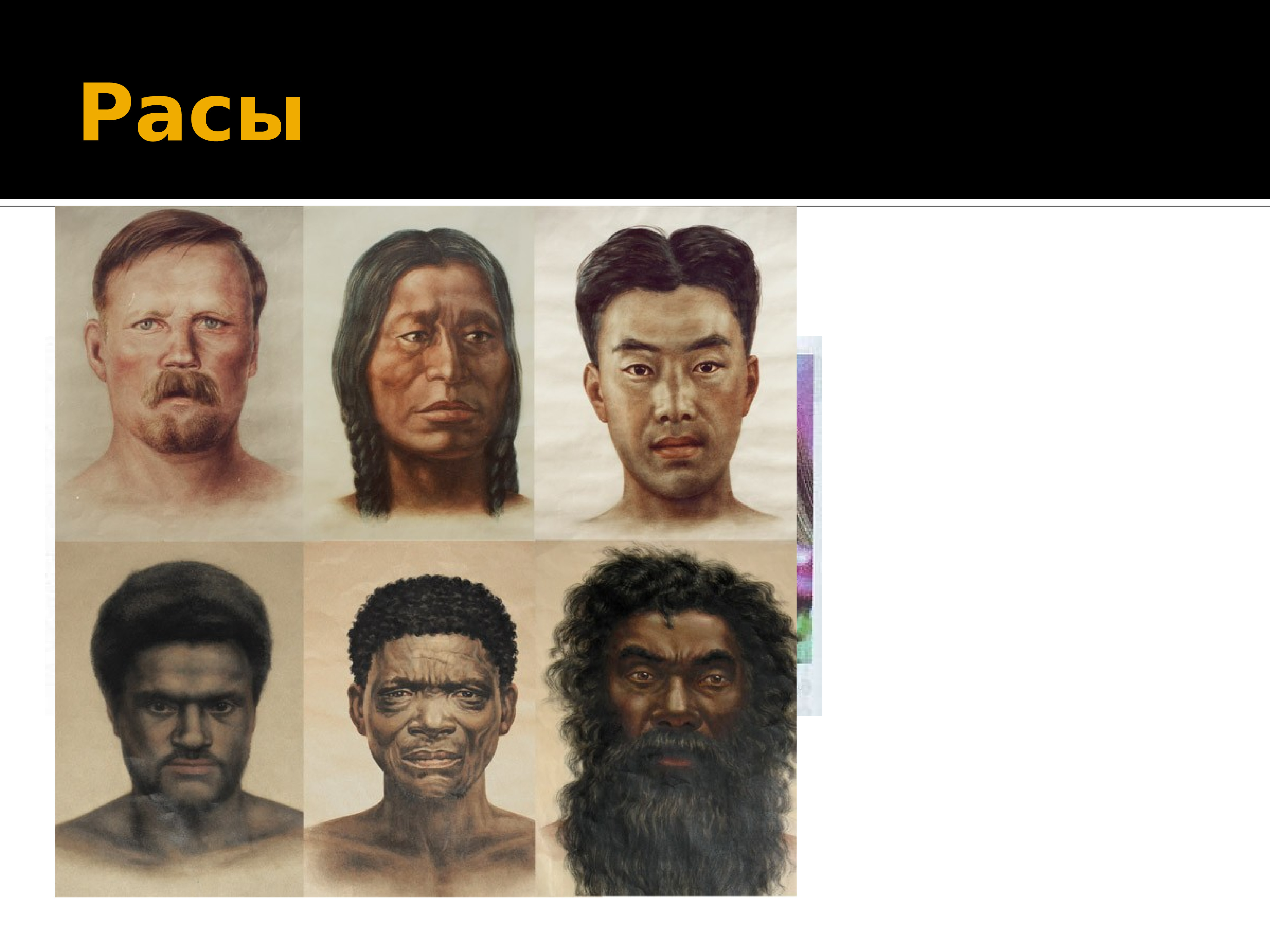 Сходство рас человека. Негроидная раса и монголоидная раса смесь. Расы людей европеоидная монголоидная негроидная. Хомо сапиенс монголоидную. Понятие раса.