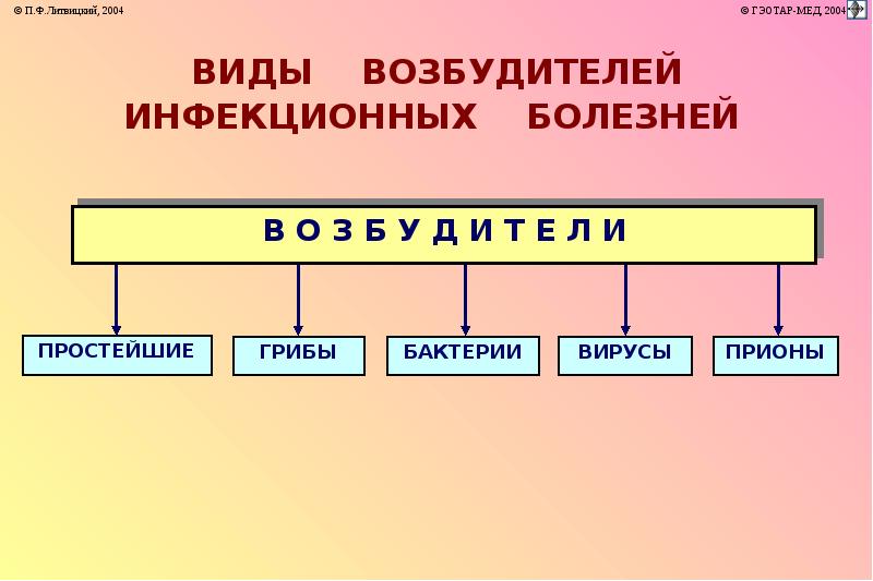 Возбудители инфекционных заболеваний презентация