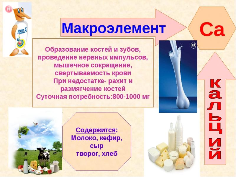 Микро и макроэлементы в организме