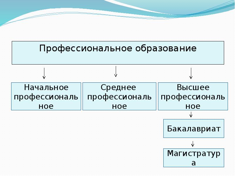 Профессиональное образование суть. Послевузовское профессиональное образование. Виды высшего образования. Роль высшего образования сегодня презентация. Сущность национального программирования.