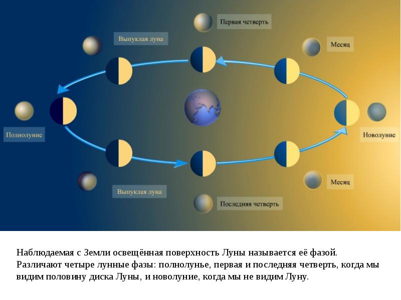 Движение луны фазы луны презентация