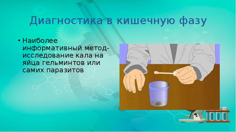 Диагностика в кишечную фазу
Наиболее информативный метод- исследование кала на яйца Диагностика в кишечную фазу
Наиболее информативный метод- исследование кала на яйца