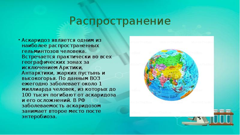 Распространение
Аскаридоз является одним из наиболее распространенных гельминтозов человека. Встречается практически Распространение
Аскаридоз является одним из наиболее распространенных гельминтозов человека. Встречается практически
