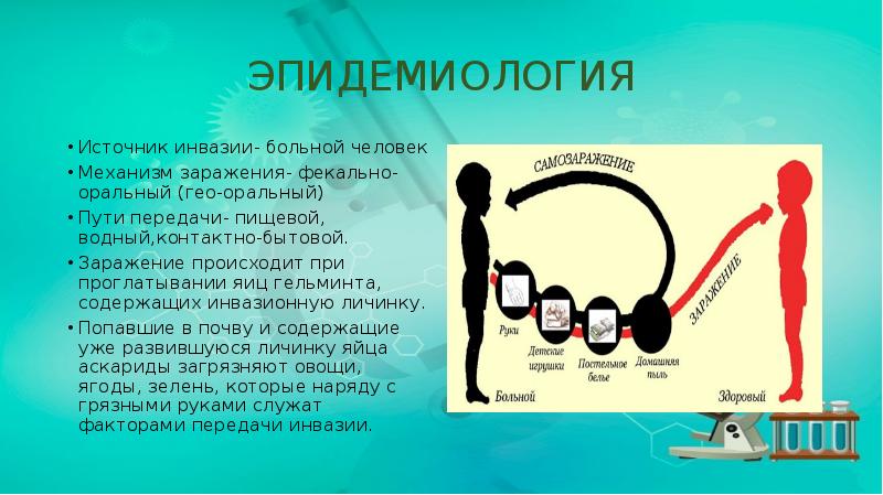 ЭПИДЕМИОЛОГИЯ
Источник инвазии- больной человек
Механизм заражения- фекально-оральный (гео-оральный)
Пути передачи- ЭПИДЕМИОЛОГИЯ
Источник инвазии- больной человек
Механизм заражения- фекально-оральный (гео-оральный)
Пути передачи-