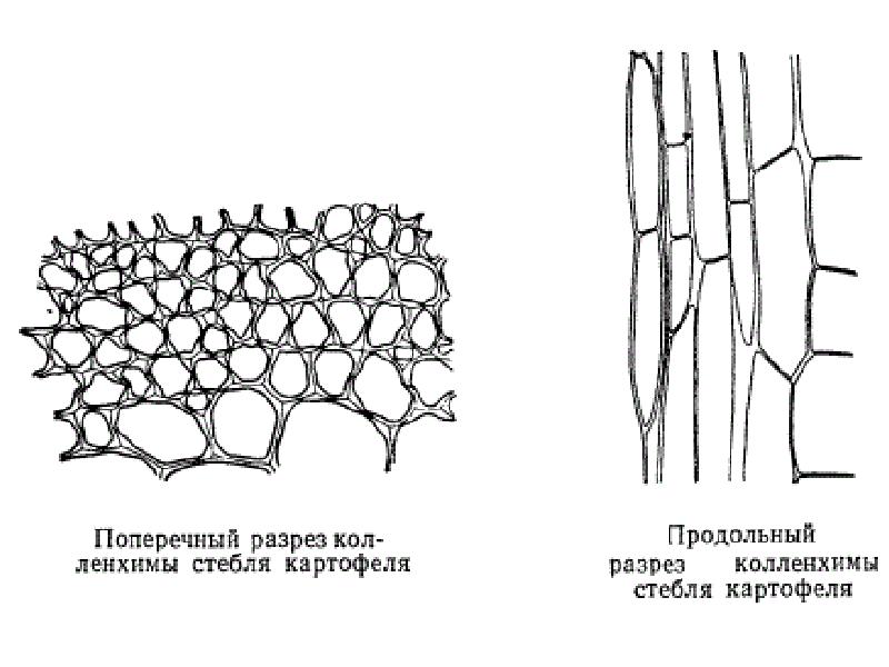 Механическая ткань рисунок