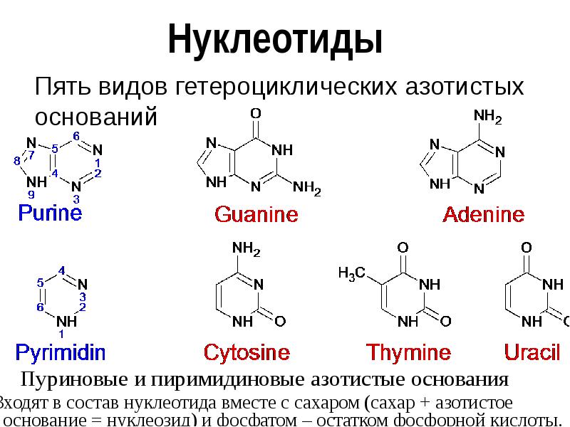 Характерные соединение