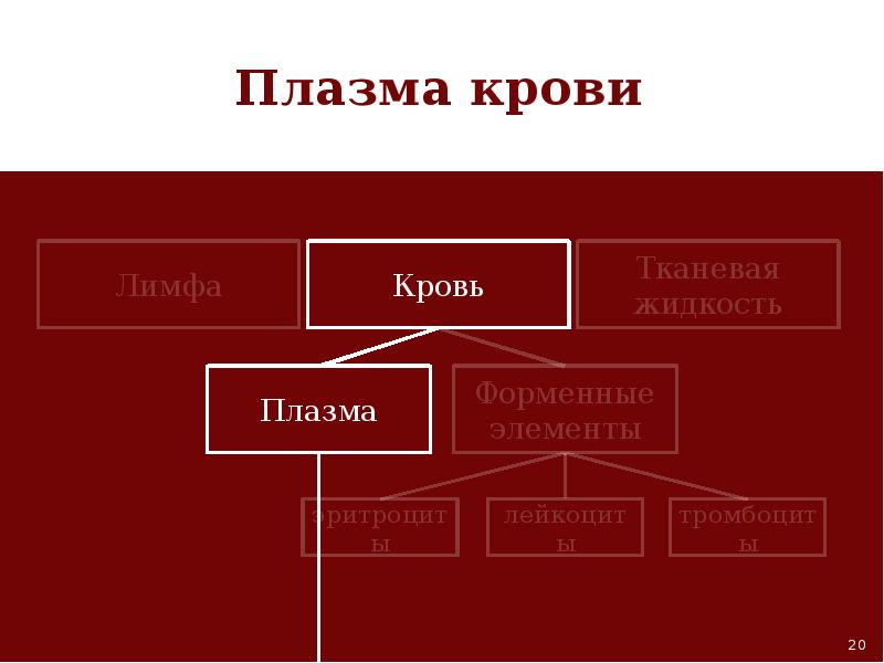 Плазма и лимфа отличия. Лимфоплазма и форменные элементы. Состав лимфы форменные элементы. Романовскому-гимзе. Опорно трофические ткани.