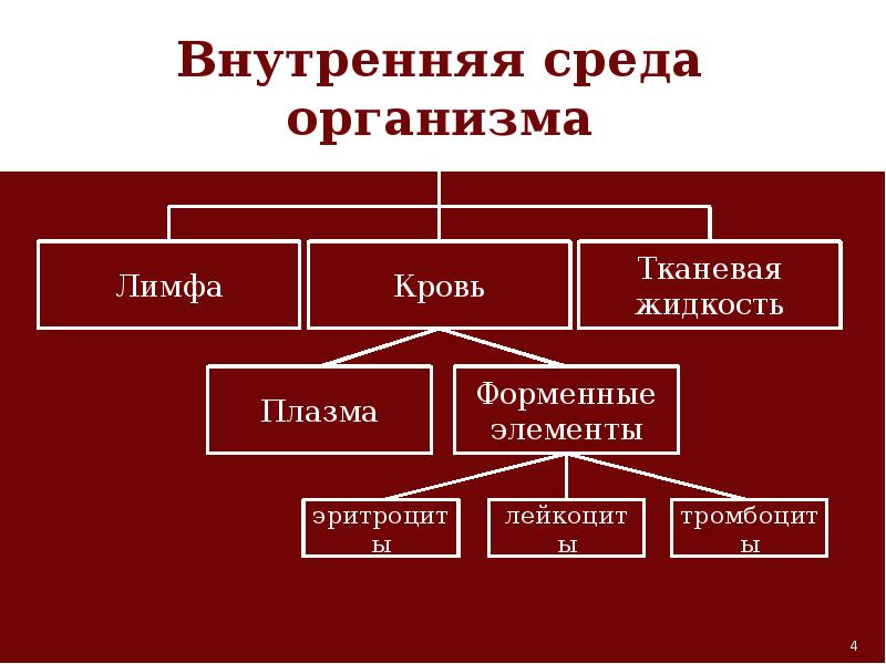 Внутренняя среда организма кровь презентация