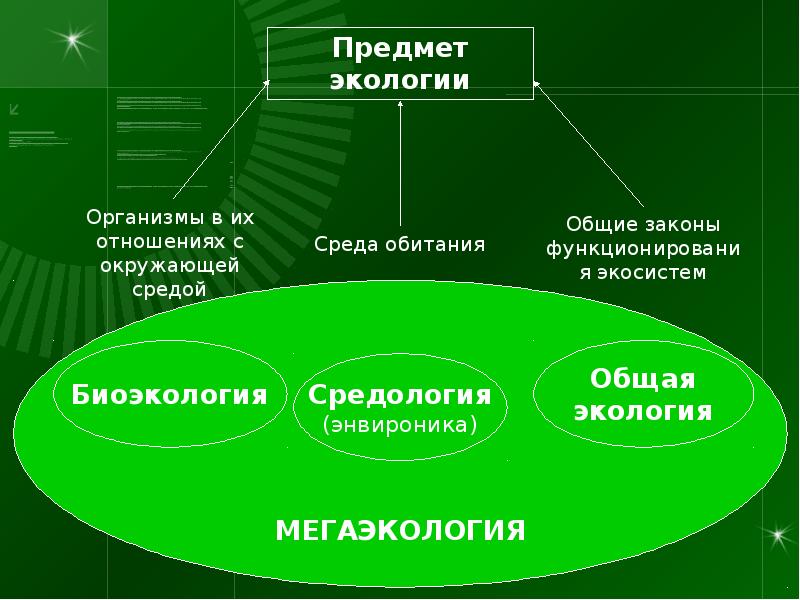 Что изучает экология картинки