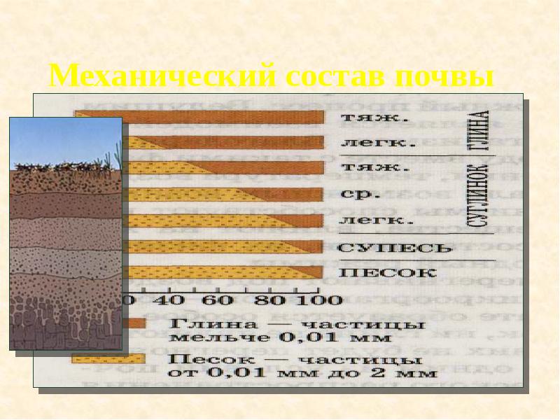 Механический состав почвы Механический состав почвы