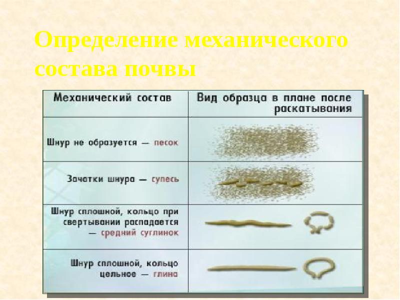 Определение механического состава почвы Определение механического состава почвы
