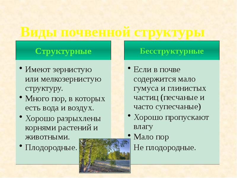 Виды почвенной структуры Виды почвенной структуры