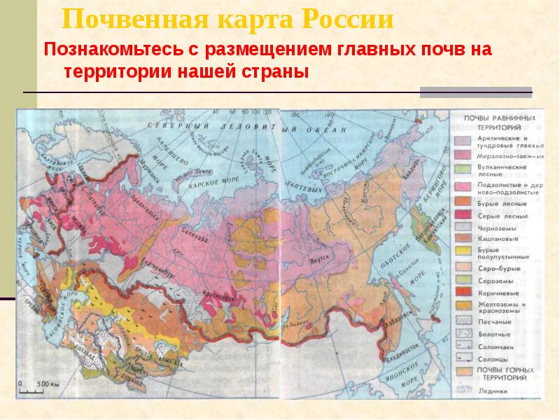 Почвенная карта России
Познакомьтесь с размещением главных почв на территории Почвенная карта России
Познакомьтесь с размещением главных почв на территории