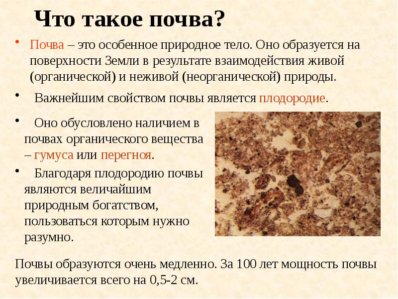 Что такое почва?
Почва – это особенное природное тело. Оно образуется Что такое почва?
Почва – это особенное природное тело. Оно образуется