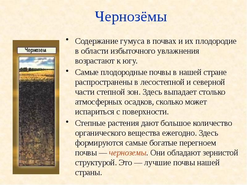 Типы почв и их распространение — урок. География, 6 класс.