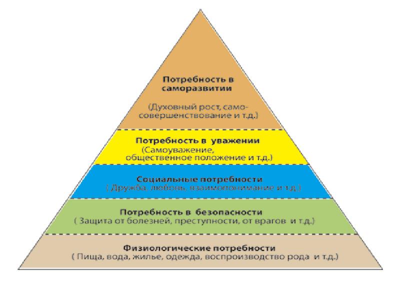 Пирамида маслоу потребности человека презентация
