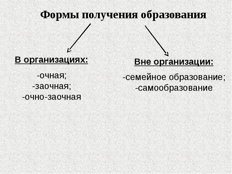 Самой распространенной формой получения образования было. Самой распространенной формой получения образования было