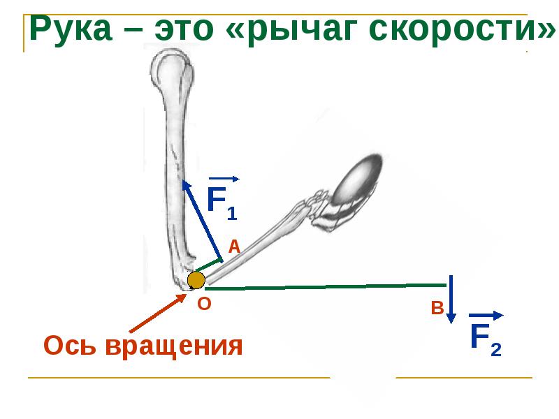 Какой буквой на этом рисунке обозначена точка опоры рычага