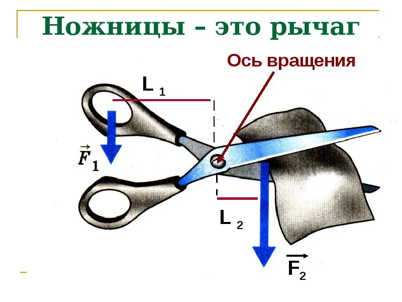 Укажите точку опоры и плечи сил у рычагов изображенных на рисунке ножницы