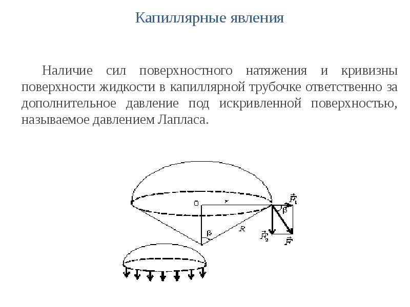 Карта кривизны поверхности